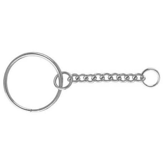 Keyring and chain